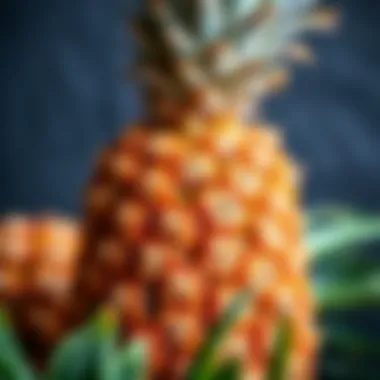 A close-up of a pineapple showcasing its rich nutrients