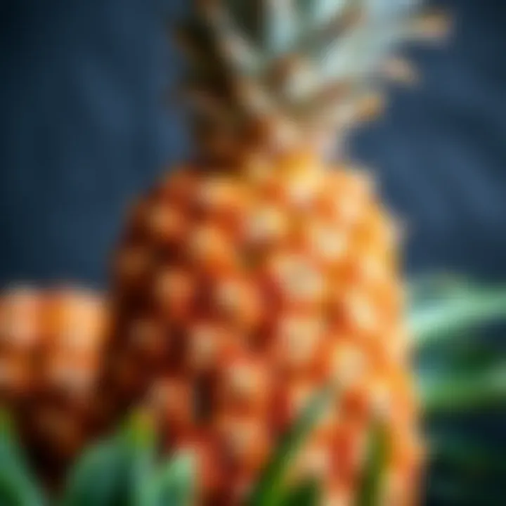 A close-up of a pineapple showcasing its rich nutrients