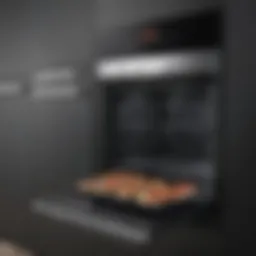 Elegant Bosch oven with advanced features