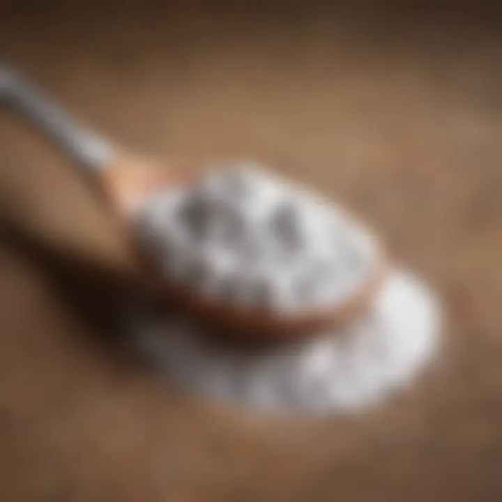 A close-up of a spoonful of baking soda with natural ingredients around it.