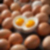 Nutritional breakdown of eggs