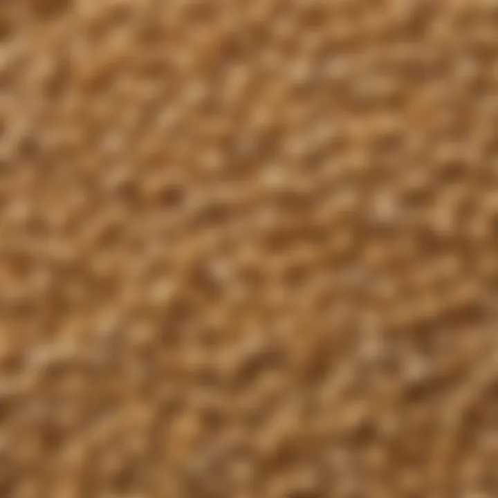 Close-up view of sesame seeds showcasing their natural texture and color