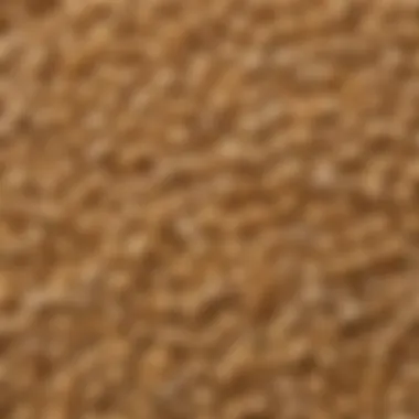 Essence of Sesame: Natural Seeds Close-up view of sesame seeds showcasing their natural texture and color