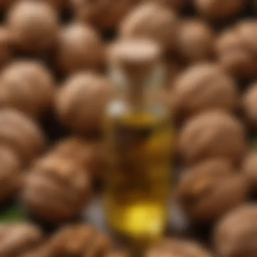 Nutritional benefits of walnut oil