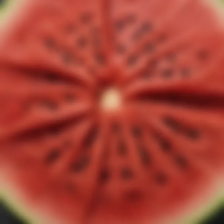 A close-up view of a watermelon slice showcasing its juicy texture and seeds.